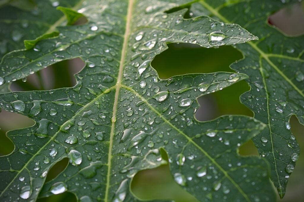 Wasserschaden Erklärung Blatt